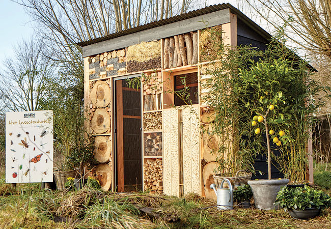 Unilux redt insecten