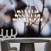 Mooie hanglamp Moooi