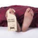 Estillon partner Quietroom