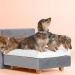Hondenboxspring Swiss Sense