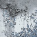 Domotex met vloeren, muren en plafonds