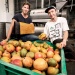 Veganistisch leer steeds populairder