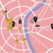 Idd Cologne 2025: designstad Keulen