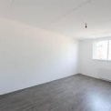 Laminaat voor een heel appartement